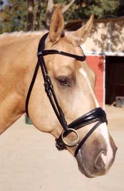 STUBBEN N.A. Stübben Patent Switch Combo Bridle