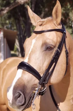STUBBEN N.A. Stübben Patent Switch Combo Bridle