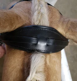 STUBBEN N.A. Stübben Patent Switch Combo Bridle