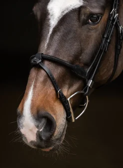 STUBBEN N.A. Stübben Pro Jump Bridle with Rope Noseband & Removable Flash