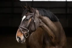 STUBBEN N.A. Stübben Pro Jump Bridle with Removable Flash Noseband