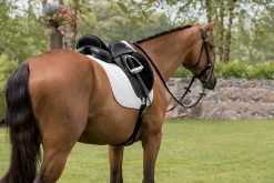 CUSTOM SADDLERY Steffen's Advantage Buffalo Single Flap Dressage Saddle