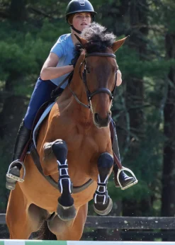 JONE SHOU INDUSTRIAL Stride™ Open-Front Tendon Boots