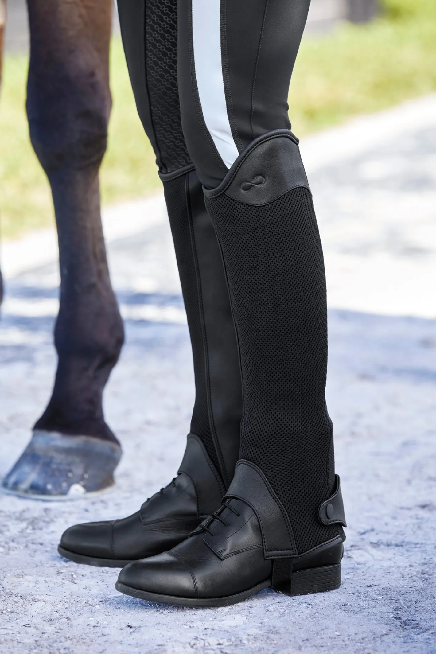 TEXT HORSE Stride™ Ladies’ Coolmesh Half Chaps
