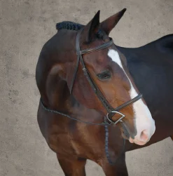KINGS INTERNATIONAL Suffolk™ Classic Hunter Bridle