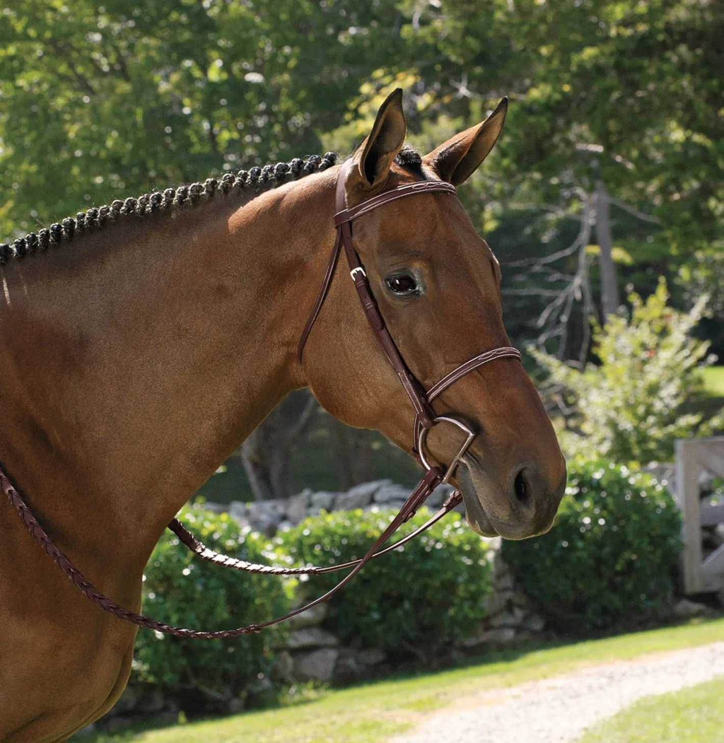 KINGS INTERNATIONAL Suffolk™ Classic Hunter Bridle