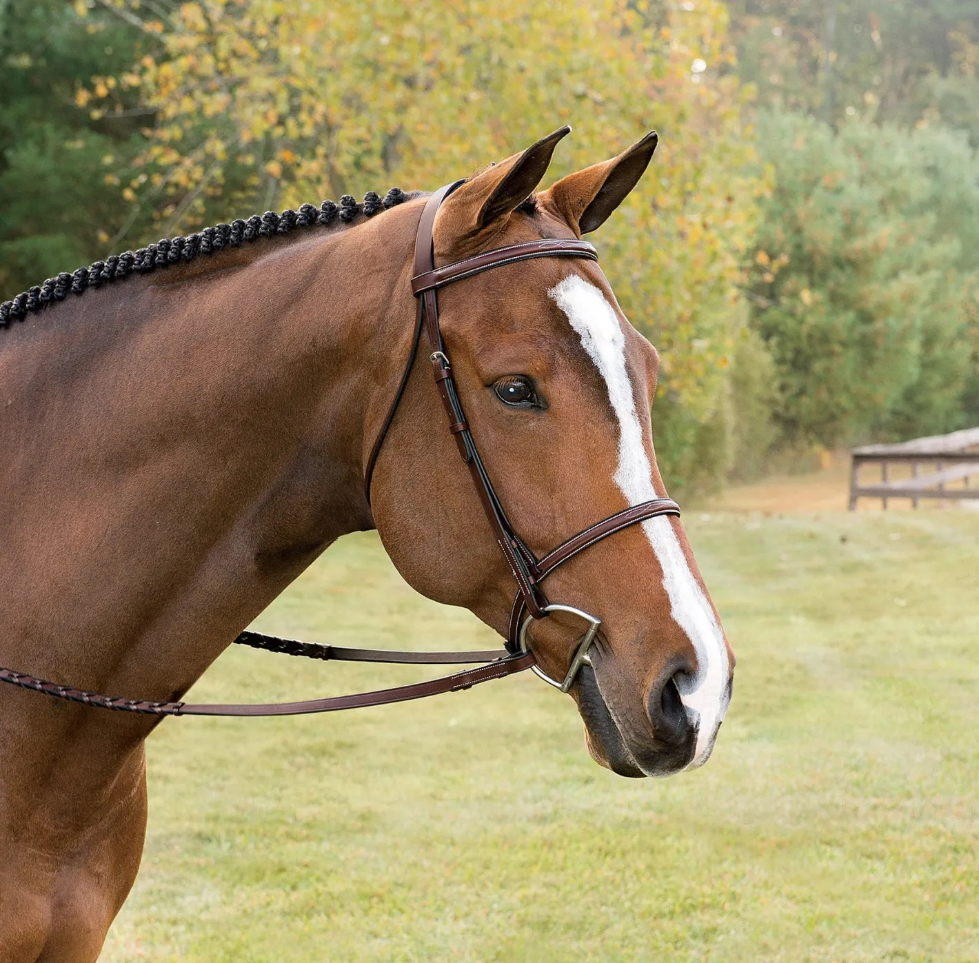 KINGS INTERNATIONAL Suffolk™ Classic Hunter Bridle