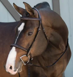 KINGS INTERNATIONAL Suffolk™ Fancy-Stitched Single Crown Bridle