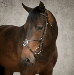 KINGS INTERNATIONAL Suffolk™ Figure-8 Bridle