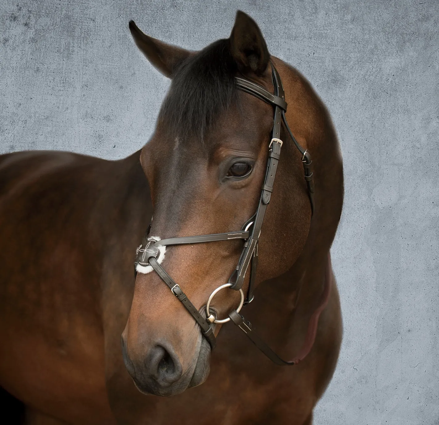 KINGS INTERNATIONAL Suffolk™ Figure-8 Bridle