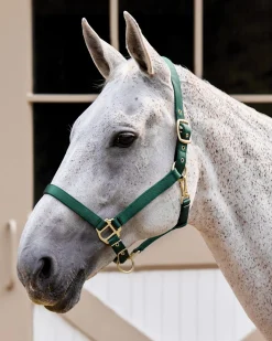 TEXT HORSE Suffolk™ Heavy Nylon Breakaway Halter with Fuse