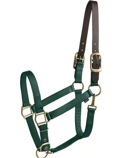 TEXT HORSE Suffolk™ Heavy Nylon Halter with Breakaway Crown