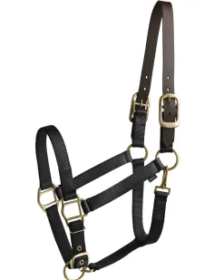 TEXT HORSE Suffolk™ Heavy Nylon Halter with Breakaway Crown