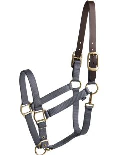 TEXT HORSE Suffolk™ Heavy Nylon Halter with Breakaway Crown