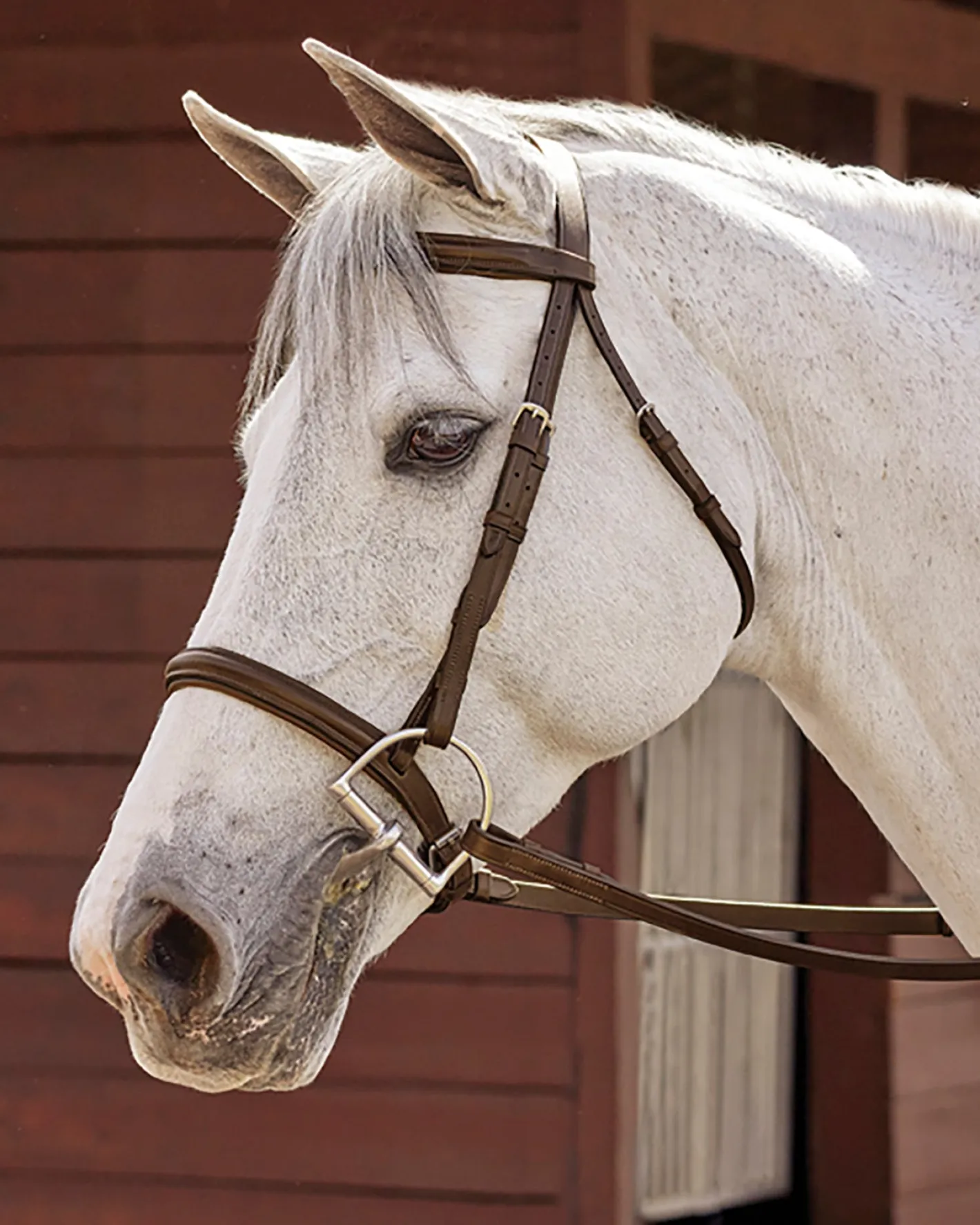 KINGS INTERNATIONAL Suffolk™ Hunter Fancy-Stitched Bridle