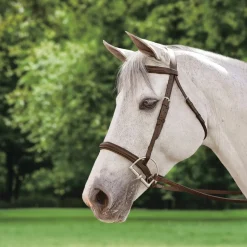 KINGS INTERNATIONAL Suffolk™ Plain Raised Bridle