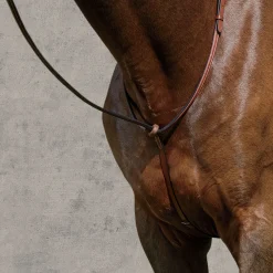 KINGS INTERNATIONAL Suffolk™ Raised Standing Martingale