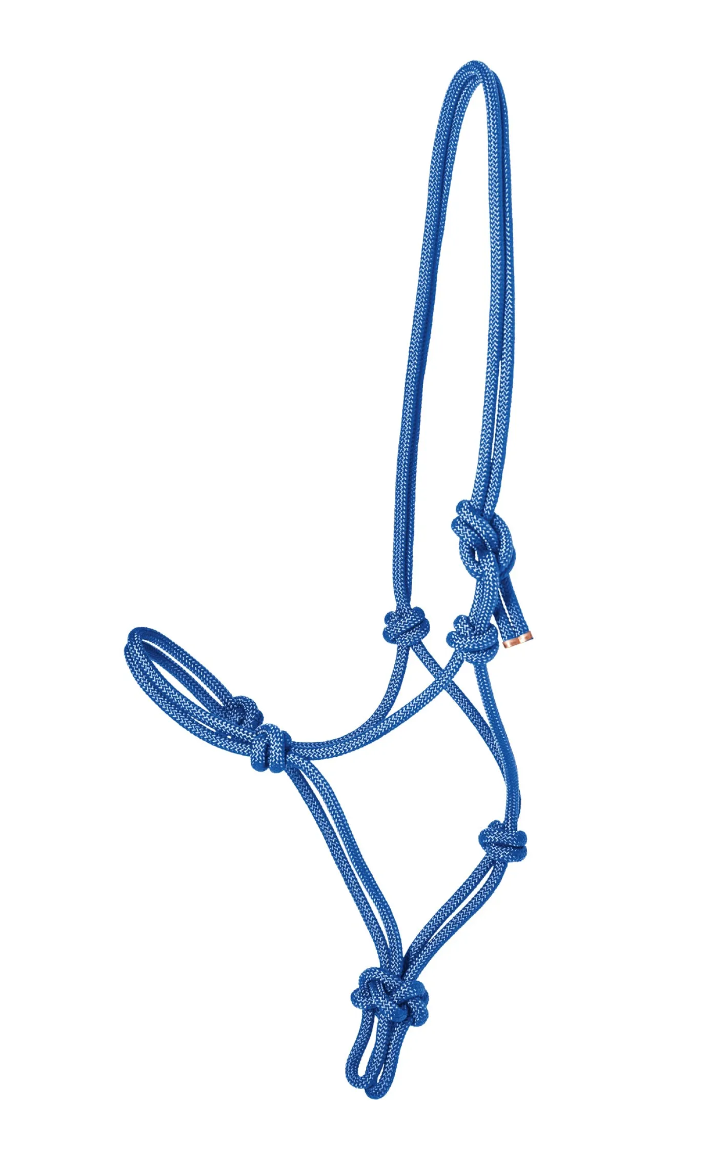 TEXT HORSE Suffolk™ Rope Halter with Lead