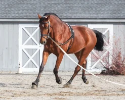 TEXT HORSE Suffolk™ Side Reins with Elastic
