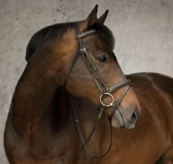 KINGS INTERNATIONAL Suffolk™ Single Crown Flash Bridle