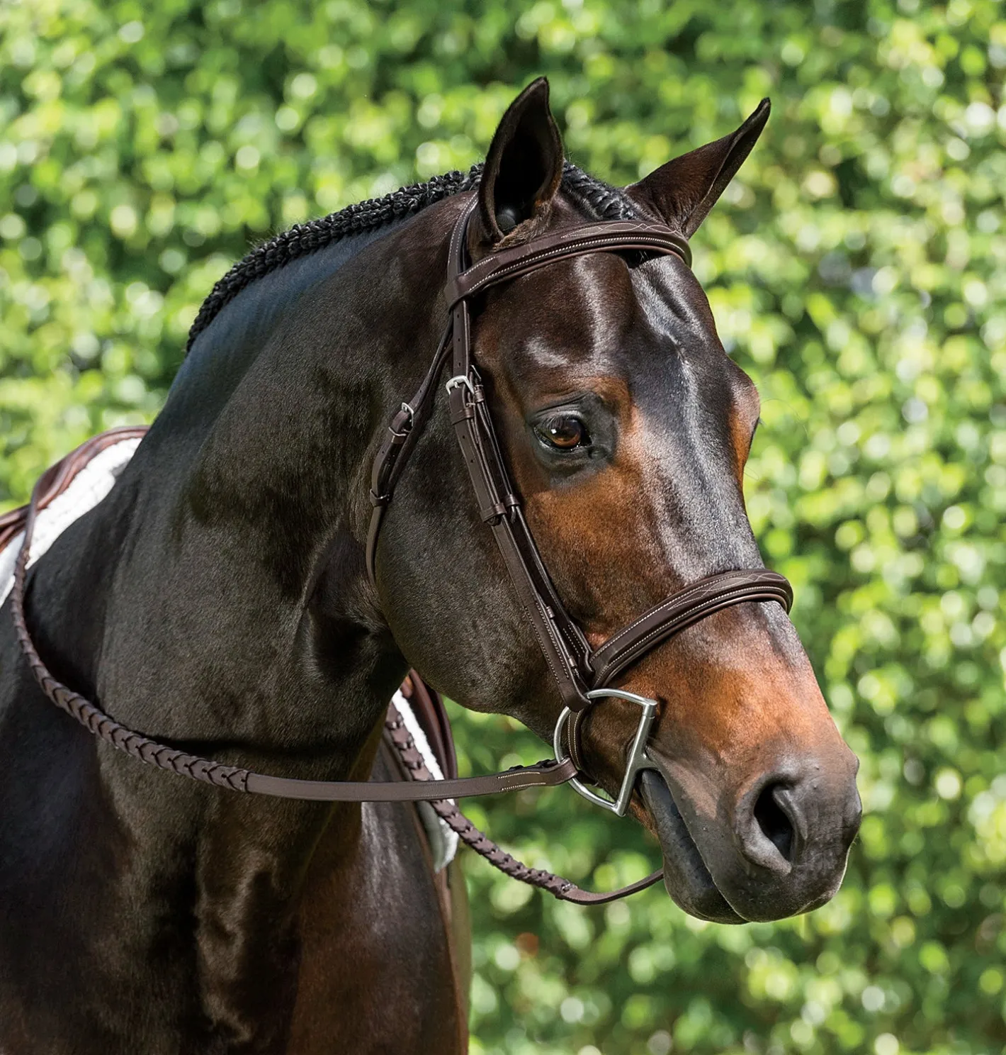 KINGS INTERNATIONAL Suffolk™ Single Crown Hunter Bridle