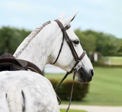 KINGS INTERNATIONAL Suffolk™ Single Crown Hunter Bridle
