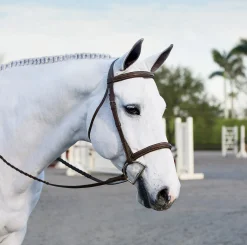 KINGS INTERNATIONAL Suffolk™ Single Crown Hunter Bridle