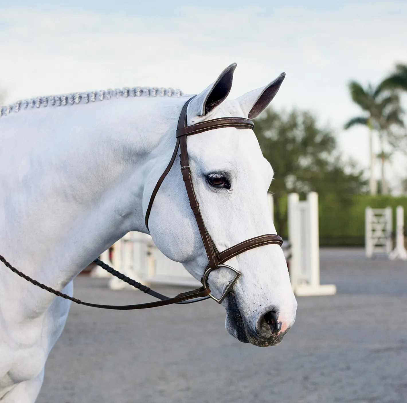 KINGS INTERNATIONAL Suffolk™ Single Crown Hunter Bridle
