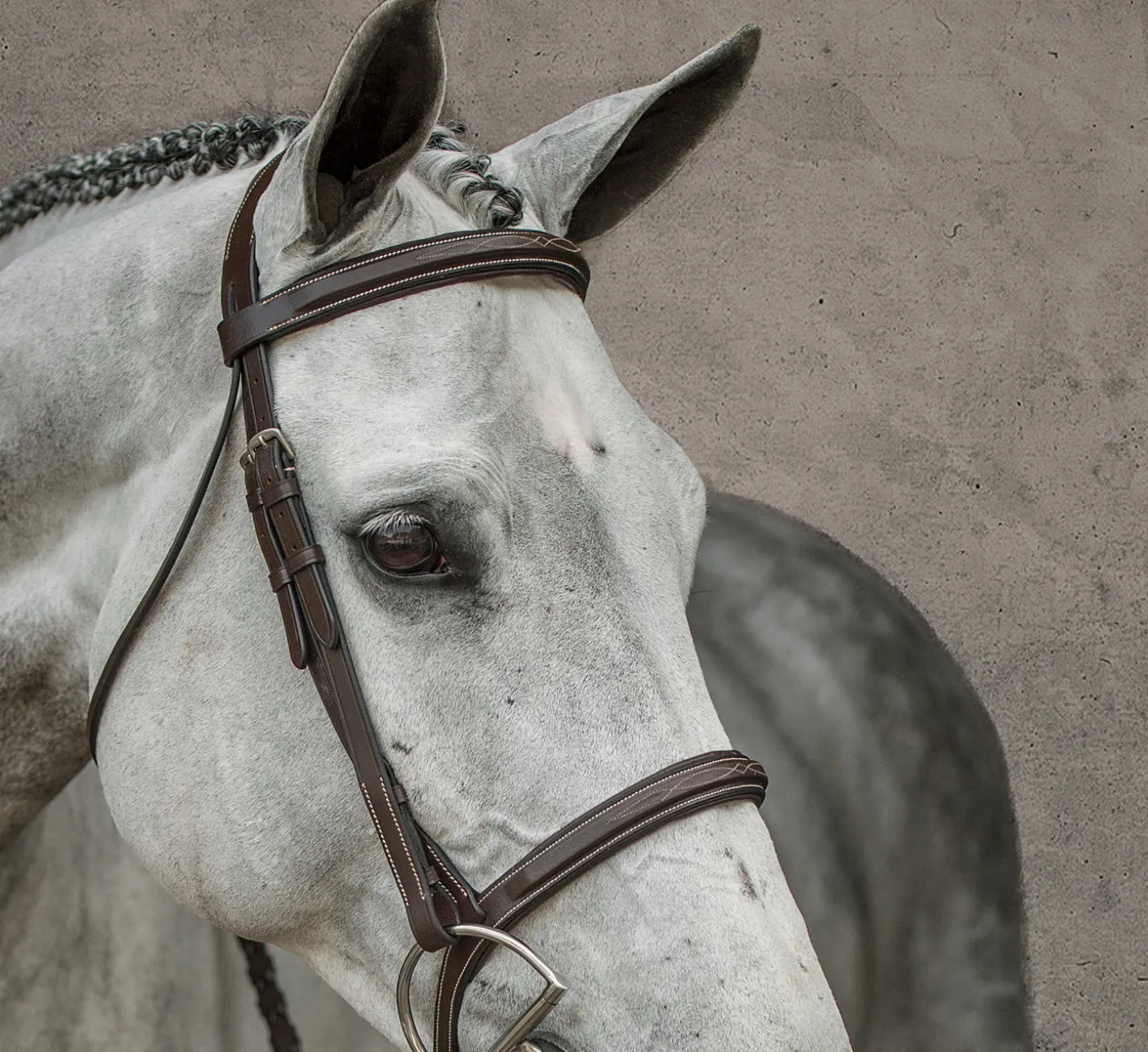 KINGS INTERNATIONAL Suffolk™ Single Crown Hunter Bridle