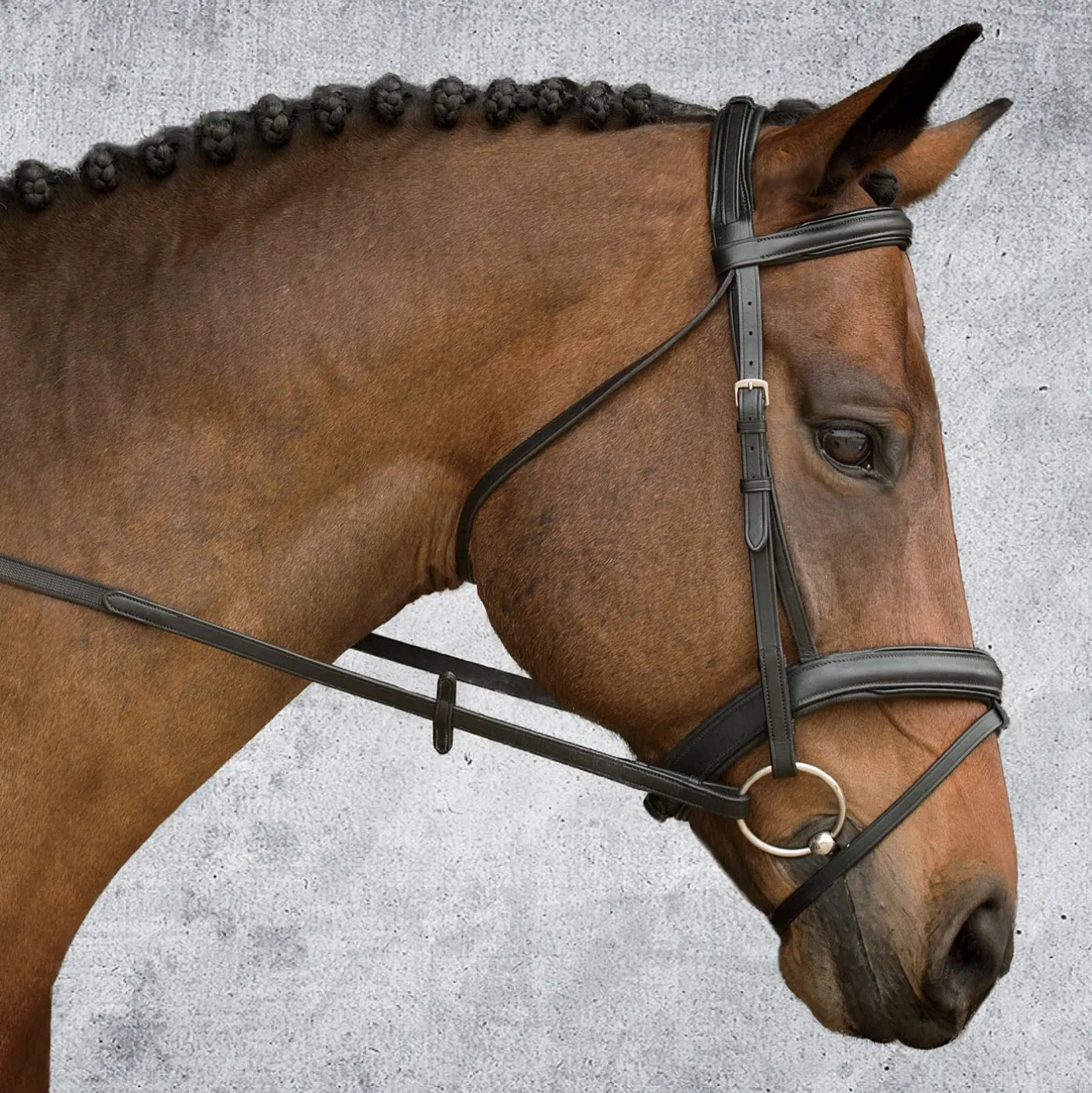 KINGS INTERNATIONAL Suffolk™ Single Crown Padded Dressage Bridle