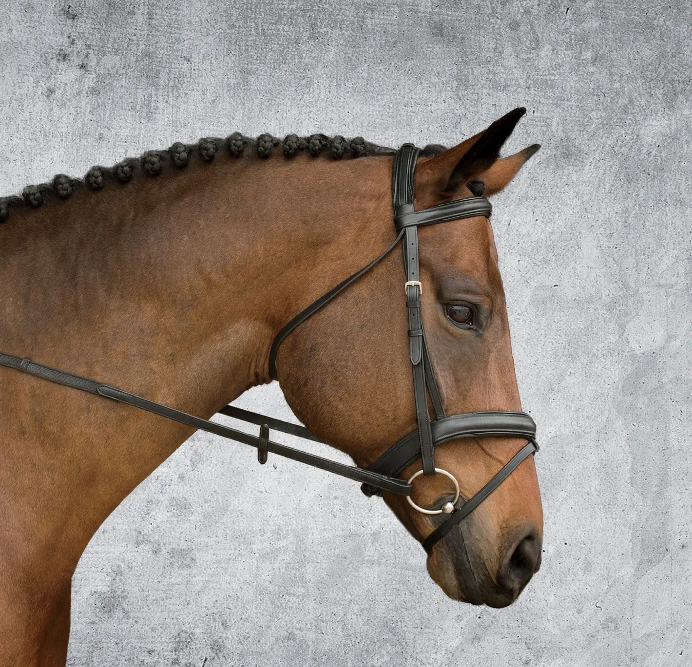 KINGS INTERNATIONAL Suffolk™ Single Crown Padded Dressage Bridle