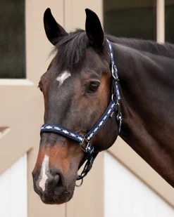 TEXT HORSE Suffolk™ Woven Argyle Breakaway Halter