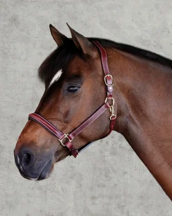 PUSHKAR INTL Suffolk™ Ergonomic Halter