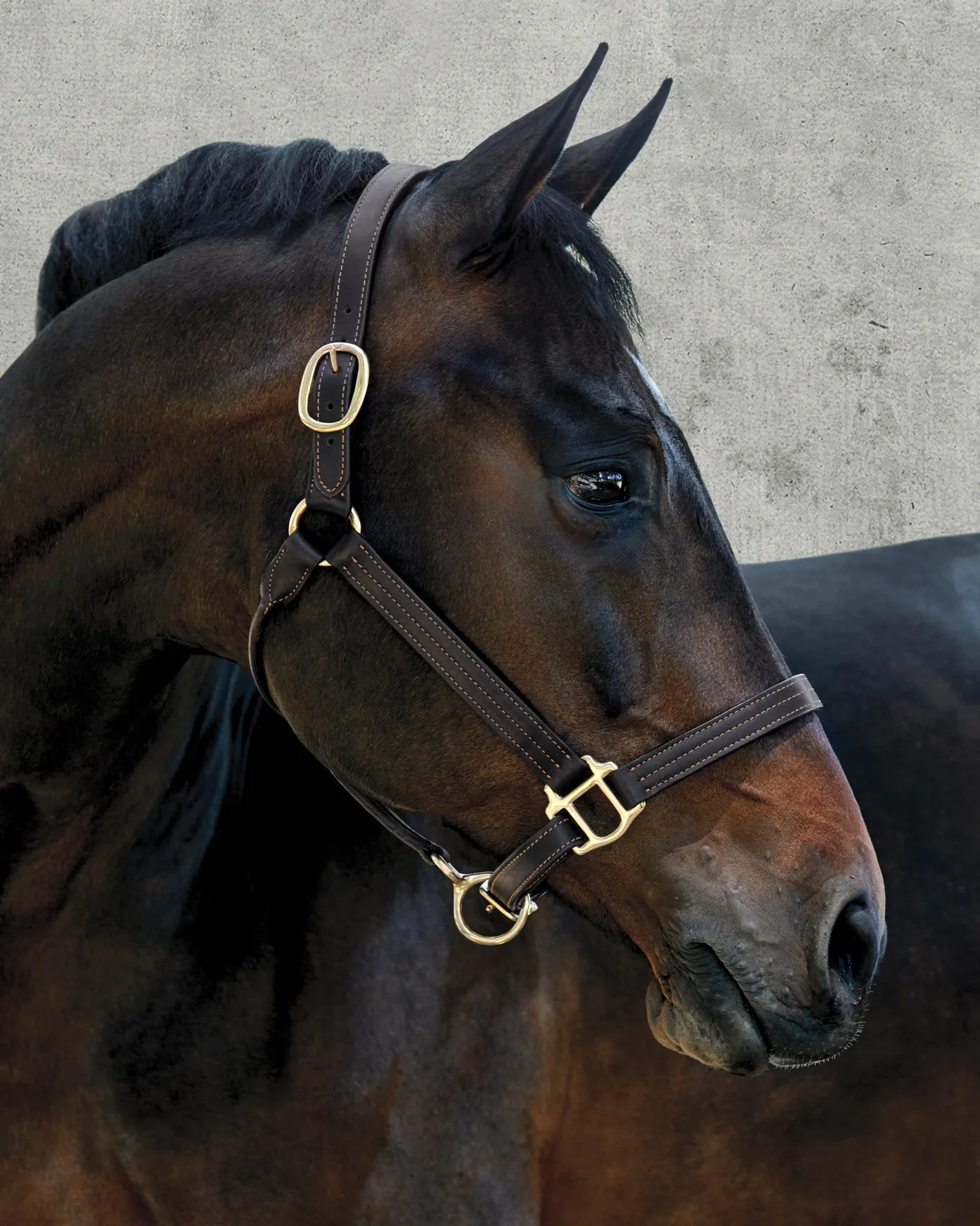 PUSHKAR INTL Suffolk™ Palermo Triple-Stitched Halter