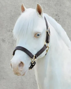 PUSHKAR INTL Suffolk™ Palermo Triple-Stitched Halter