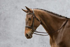 KINGS INTERNATIONAL Suffolk™ Single Crown Classic Dressage Bridle