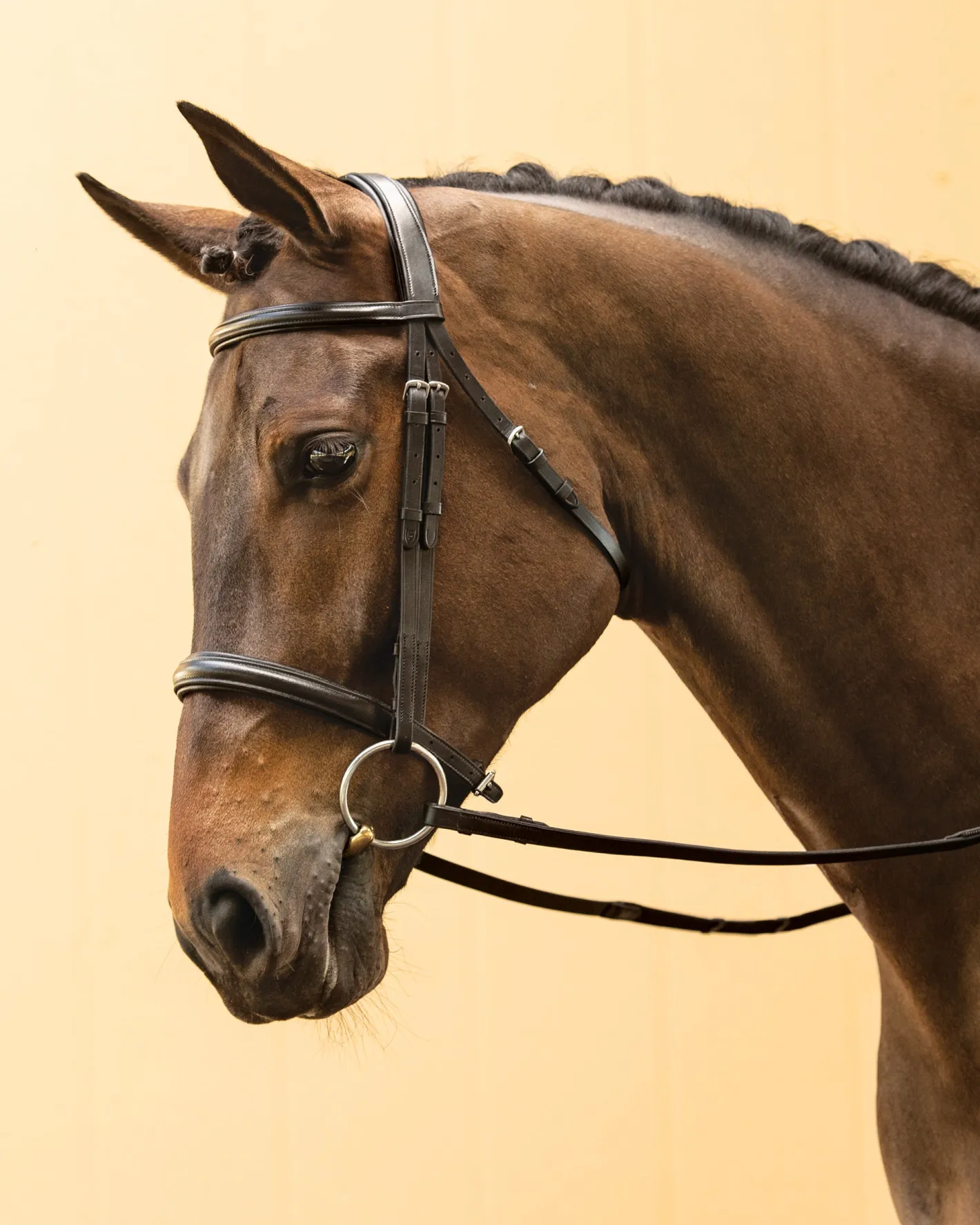KINGS INTERNATIONAL Suffolk™ Single Crown Classic Dressage Bridle