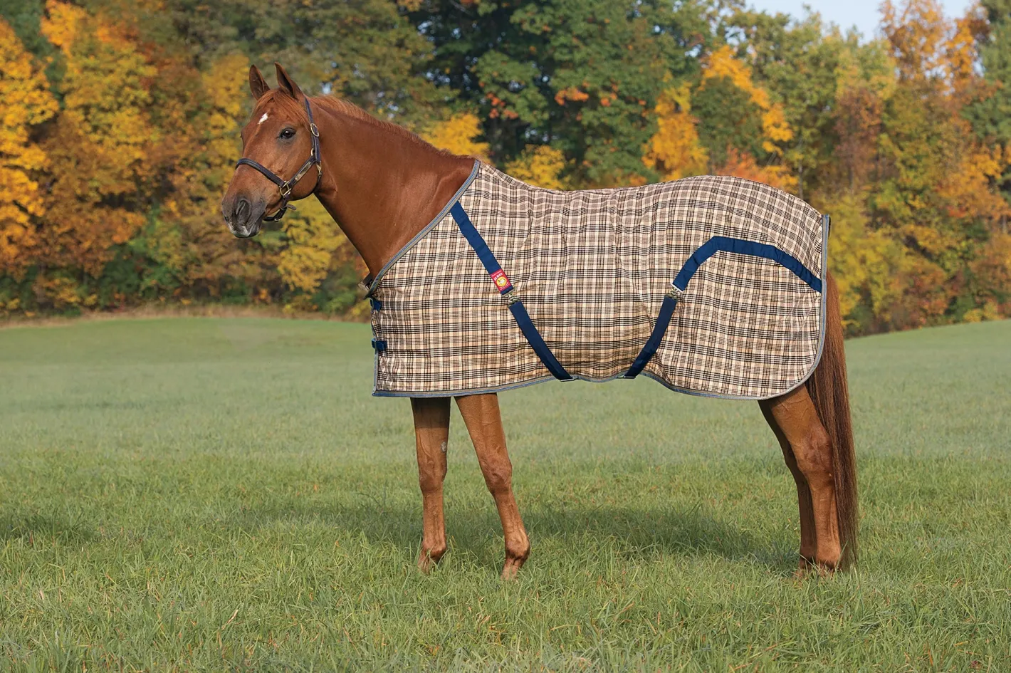 JACKS MFG The Original Baker® Sheet