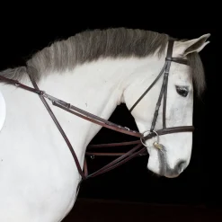 TORY LEATHER Company German Martingale Rein Set