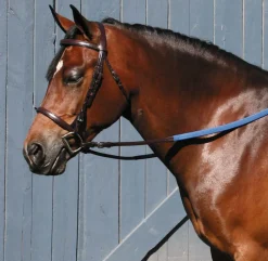 TORY LEATHER Company Padded English Bridle
