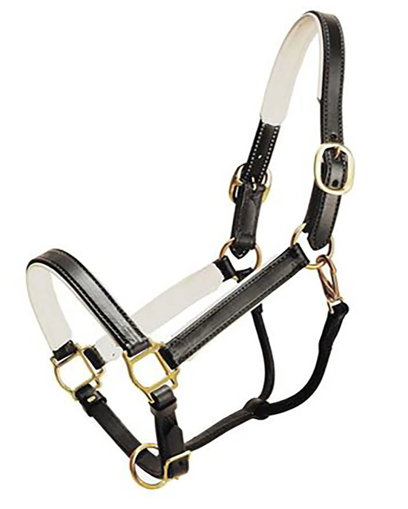 TORY LEATHER Company Padded Leather Halter