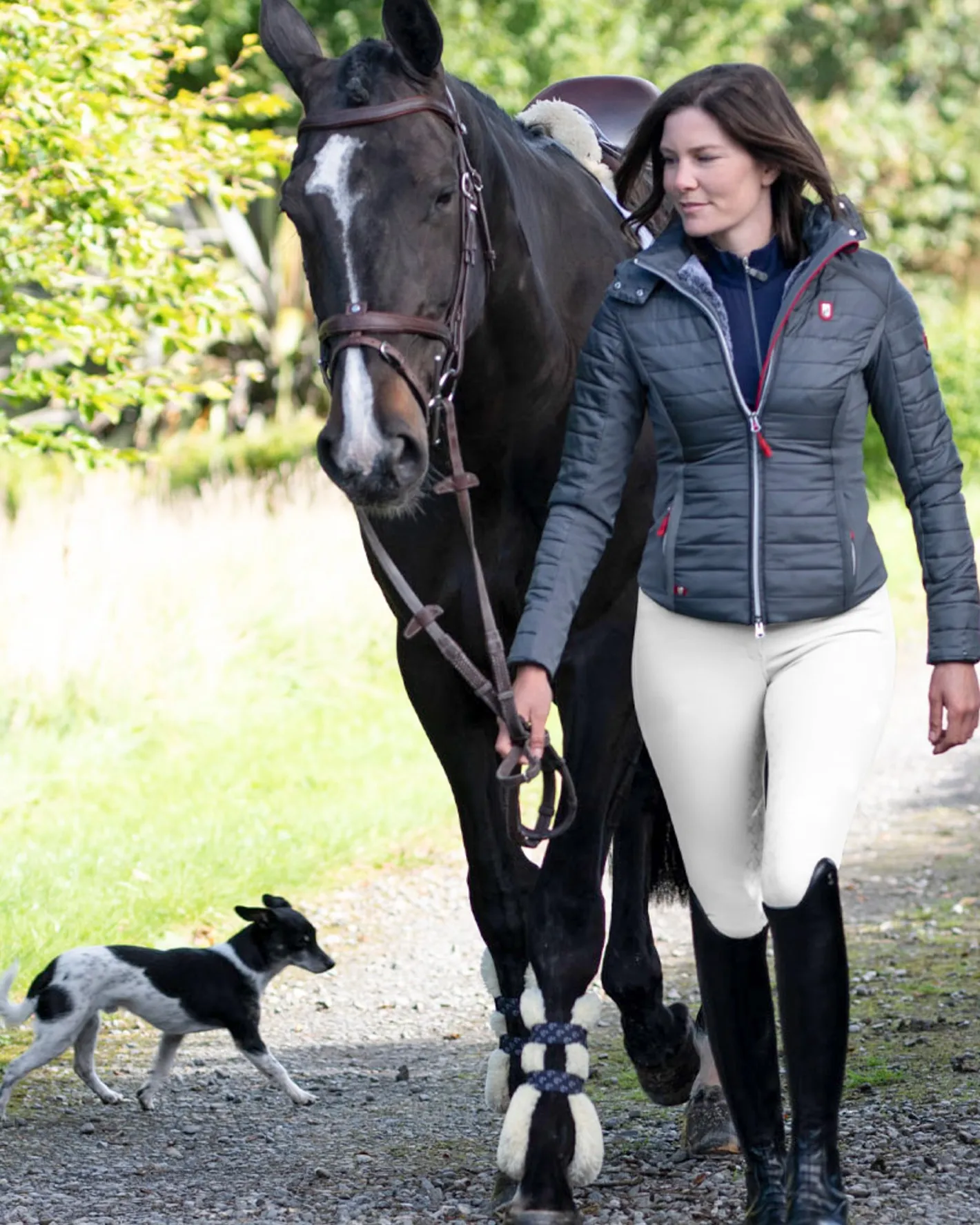 TARUN TEXTILES Tredstep™ Ladies’ Evolute Full-Seat Breech