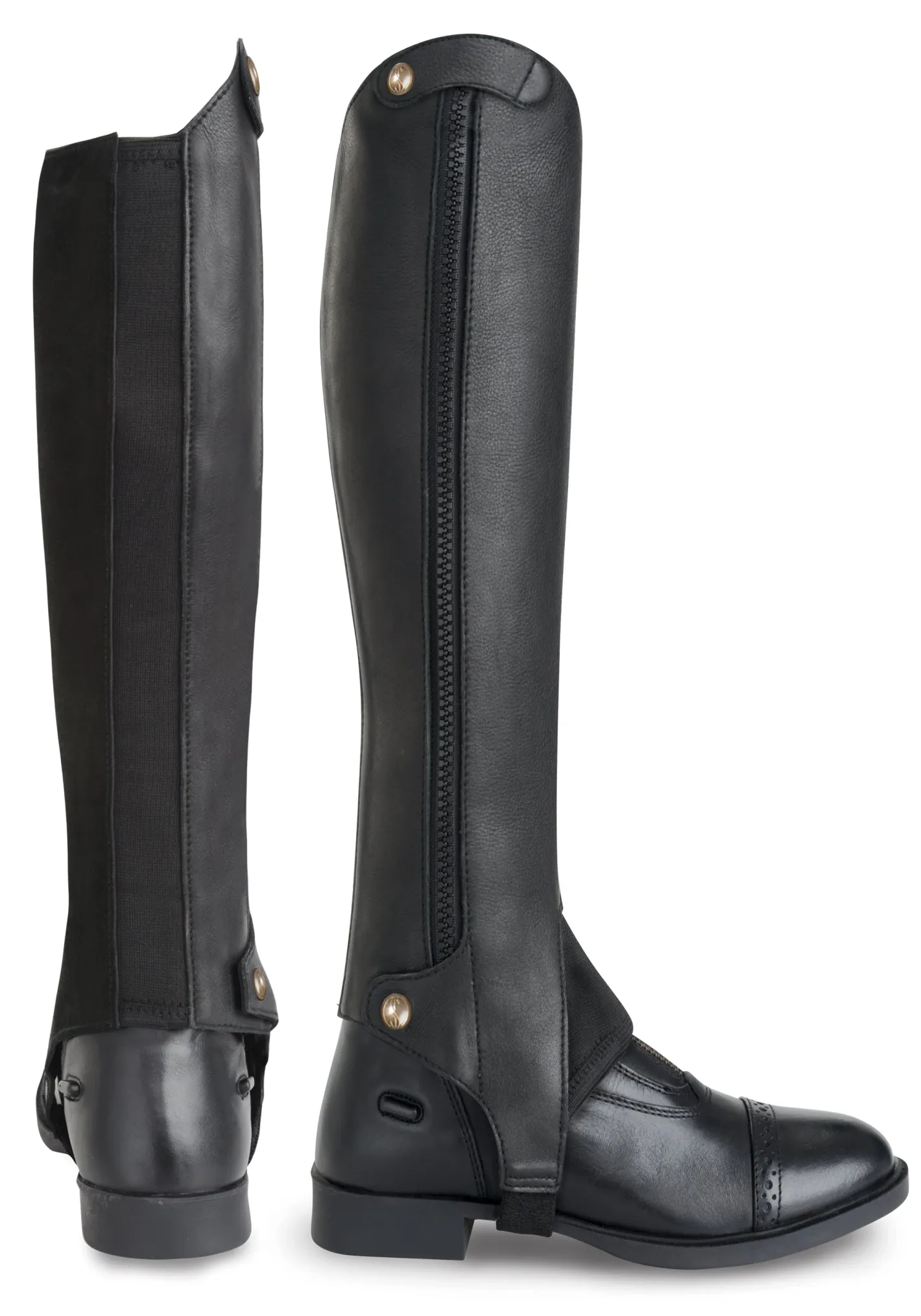 HORSE TECH Tredstep Liberty Half Chap