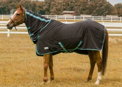 JPC EQUESTRIAN TuffRider® Cooler Sheet Combo