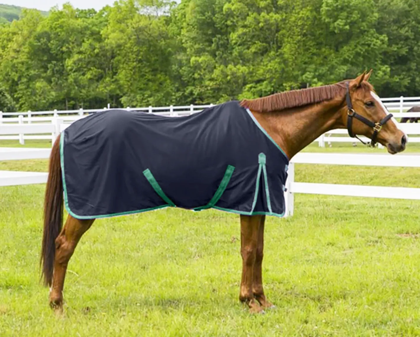 JPC EQUESTRIAN TuffRider® Kozy Komfort Stable Sheet
