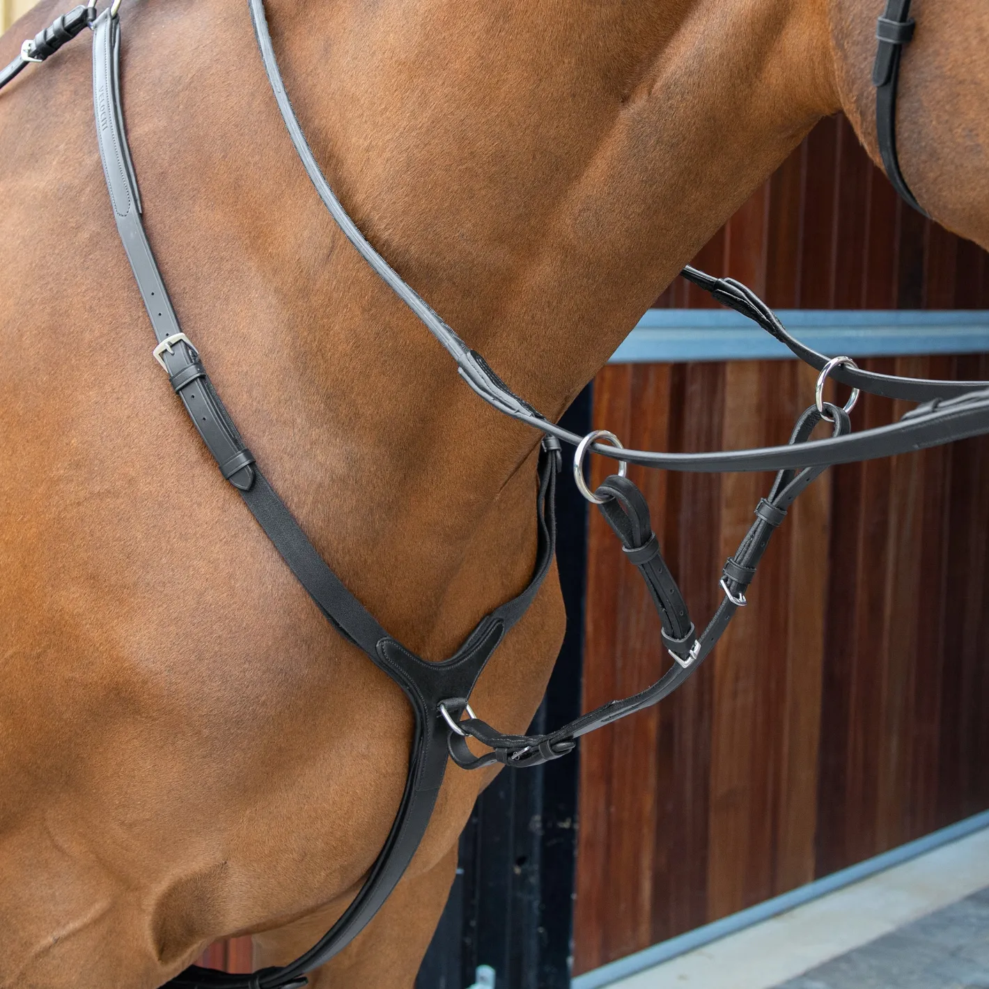 SHIRES EQUESTRIAN Velociti Lusso Breastplate