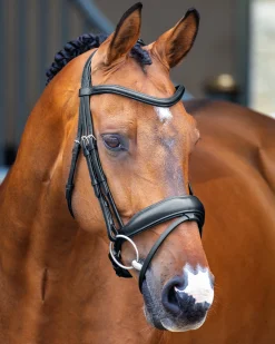 SHIRES EQUESTRIAN Velociti Lusso Dressage Flash Bridle