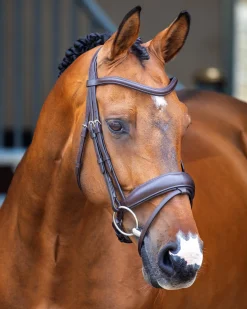 SHIRES EQUESTRIAN Velociti Lusso Dressage Flash Bridle