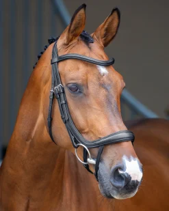 SHIRES EQUESTRIAN Velociti Lusso Ergonomic Curved Flash Bridle