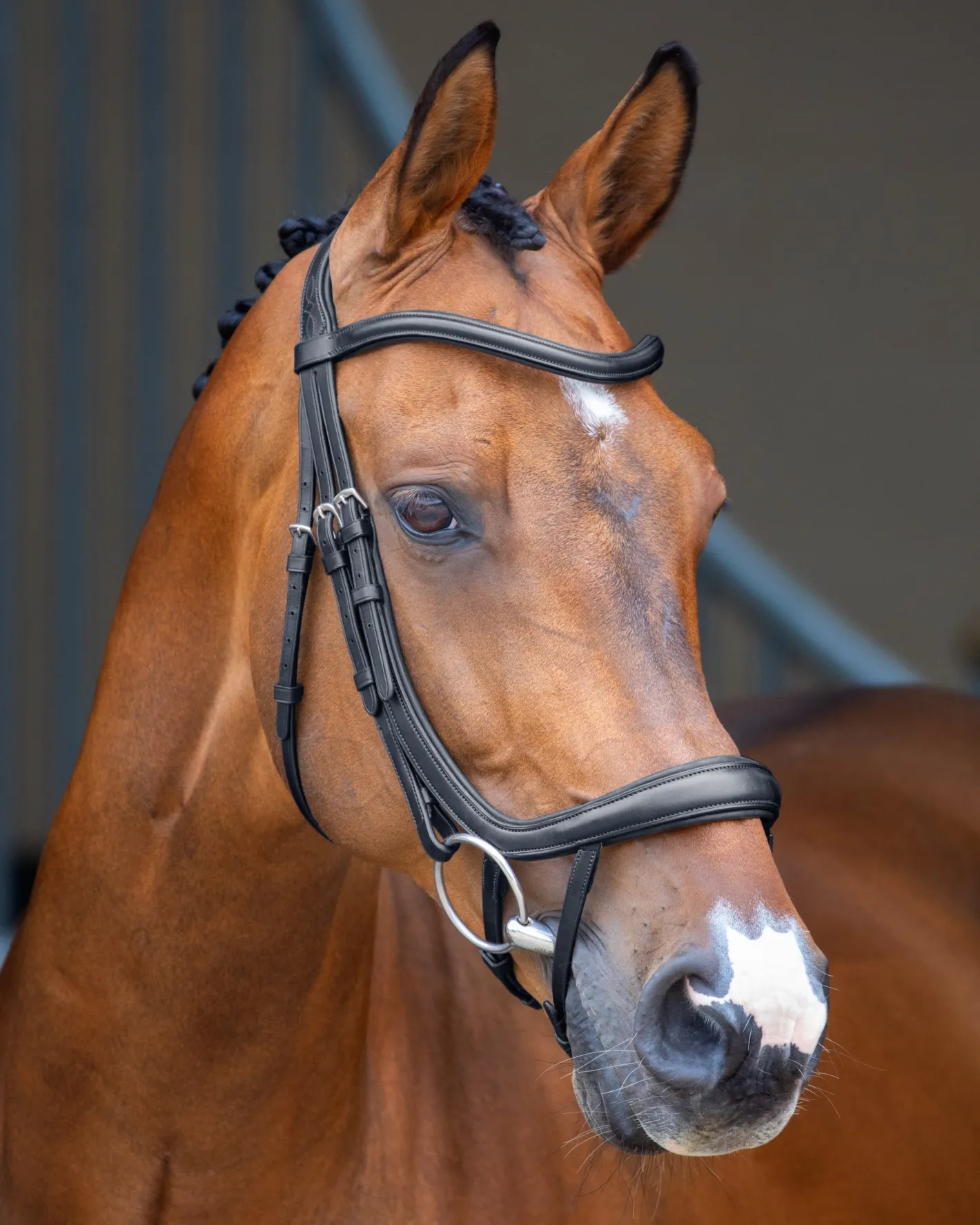 SHIRES EQUESTRIAN Velociti Lusso Ergonomic Curved Flash Bridle